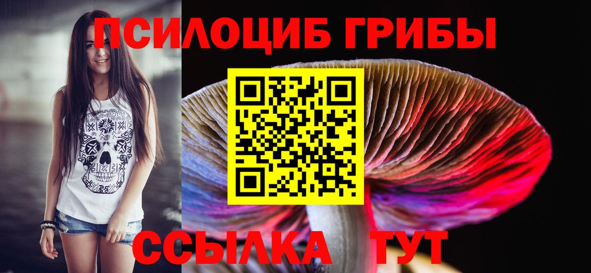 Псилоцибиновые грибы прущие грибы Осинники