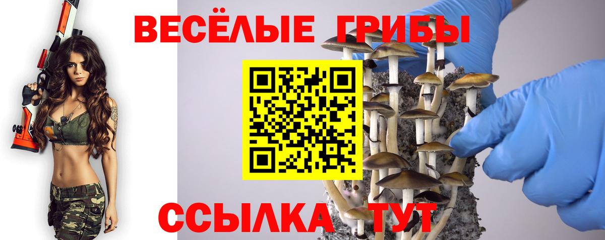 Осинники  ГАШ  КОКАИН  А ПВП СОЛЬ кристаллы  Марихуана  ГЕРОИН  Вход с VPN  МЕФ  