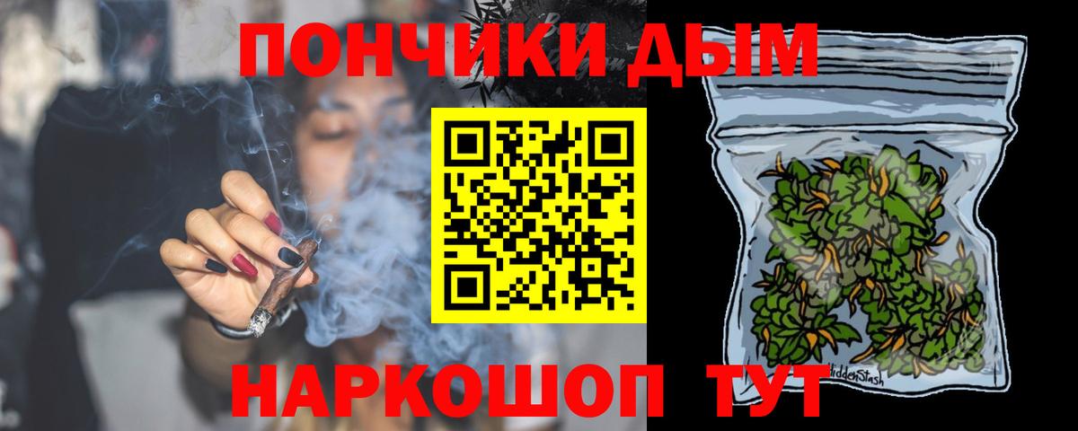 Шишки марихуана семена  Бошки марихуана ГИДРОПОН  Вход с VPN  Марихуана конопля  Конопля тримм  Осинники 